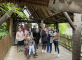 Sortie au Zoo de Cerza pour les résidents de Medicis Résidence Médicis Carpiquet